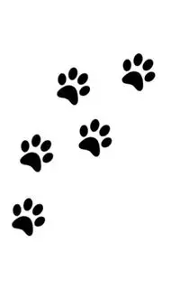 dog  paw print Writing Drawing Journal - Michael Huhn Sir