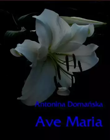 eBook Ave Maria - Antonina Domańska mobi epub