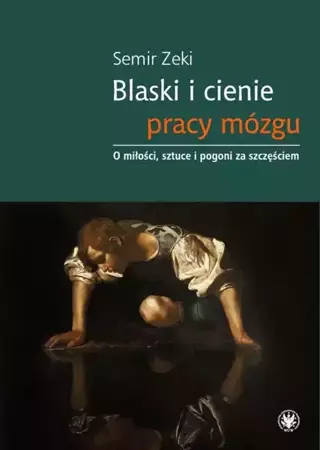 eBook Blaski i cienie pracy mózgu - Semir Zeki