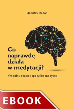 eBook Co naprawdę działa w medytacji? - Stanisław Radoń epub