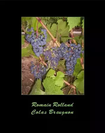 eBook Colas Breugnon - Rolland Romain mobi epub