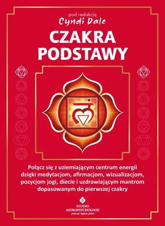 eBook Czakra podstawy - Cyndi Dale epub mobi