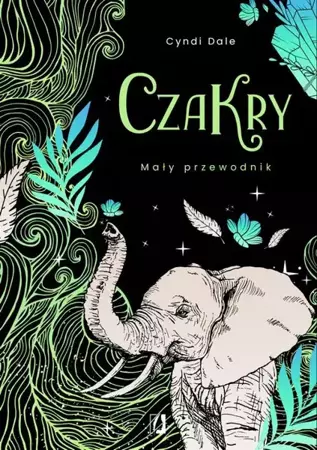 eBook Czakry. Mały przewodnik - Cyndi Dale mobi epub