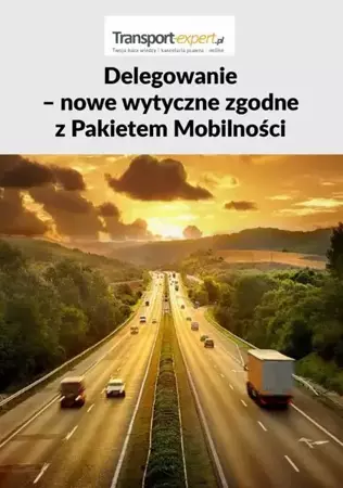 eBook Delegowanie – nowe wytyczne zgodne z Pakietem Mobilności - Praca Zbiorowa