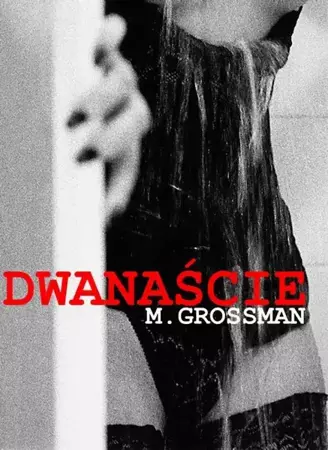 eBook Dwanaście - M. Grossman mobi epub