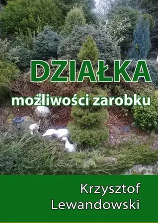 eBook Działka. Możliwości zarobku - Krzysztof Lewandowski epub