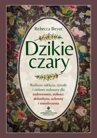 eBook Dzikie czary - Rebecca Beyer epub mobi