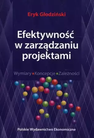 eBook Efektywność w zarządzaniu projektami - Eryk Głodziński