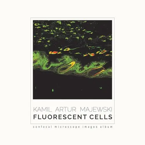 eBook Fluorescent cells. Confocal microscope images album - Kamil Artur Majewski