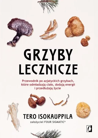 eBook Grzyby lecznicze - Tero Isokauppila mobi epub