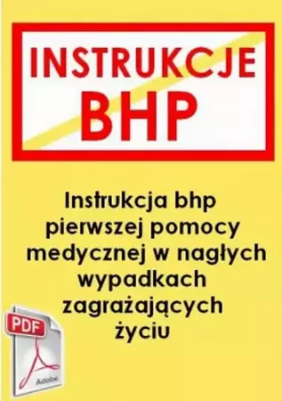 eBook Instrukcja przy udzielaniu pierwszej pomocy w nagłych przypadkach zagrażających życiu - Praca zbiorowa