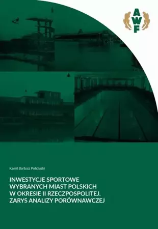 eBook Inwestycje sportowe wybranych miast polskich w okresie II Rzeczpospolitej. Zarys analizy porównawczej - Kamil Bartosz Potrzuski