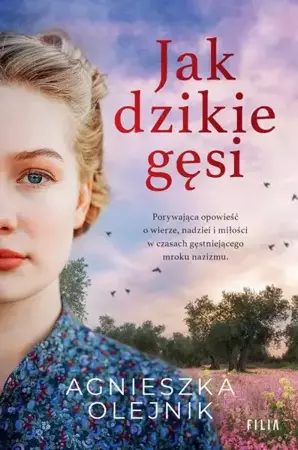 eBook Jak dzikie gęsi - Agnieszka Olejnik mobi epub