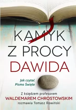 eBook Kamyk z procy Dawida - Waldemar Chrostowski mobi epub