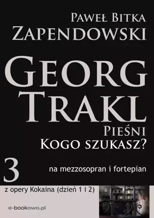 eBook Kogo szukasz - Paweł Bitka Zapendowski