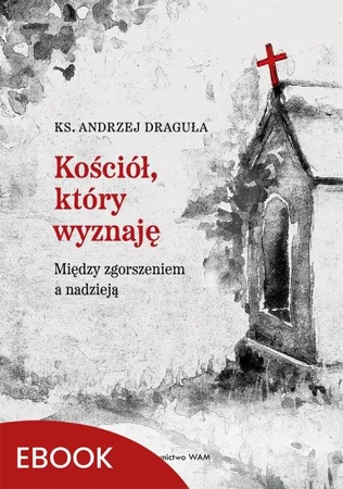 eBook Kościół, który wyznaję - Ks. Andrzej Draguła epub mobi