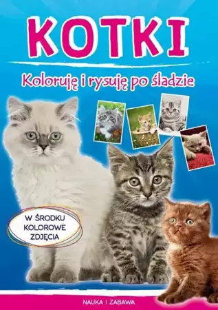 eBook Kotki. Koloruję i rysuję po śladzie - Monika Myślak