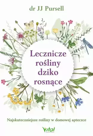 eBook Lecznicze rośliny dziko rosnące. Najskuteczniejsze rośliny w domowej apteczce - JJ Pursell