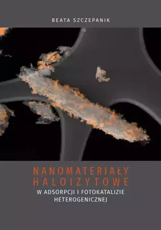 eBook Nanomateriały haloizytowe w adsorpcji i fotokatalizie heterogenicznej - Beata Szczepanik