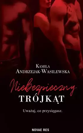 eBook Niebezpieczny trójkąt - Kamila Andrzejak-Wasilewska epub mobi