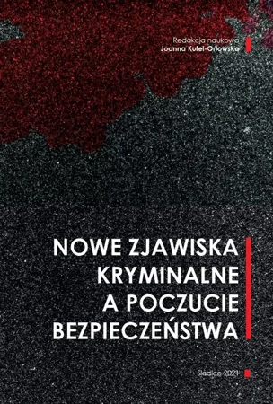 eBook Nowe zjawiska kryminalne a poczucie bezpieczeństwa - Joanna Kufel-Orłowska