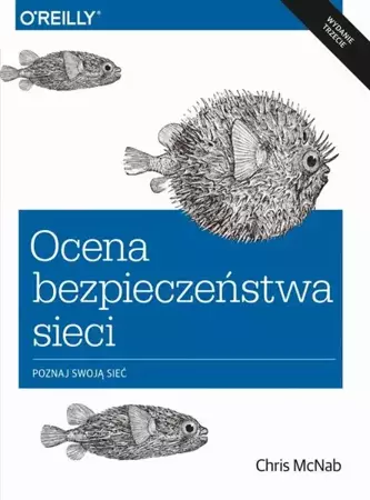 eBook Ocena bezpieczeństwa sieci wyd. 3 - Chris McNab