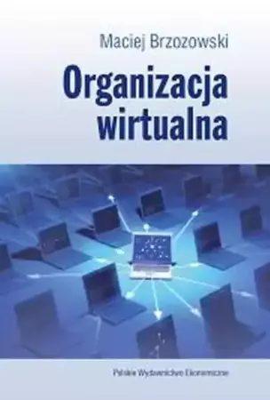 eBook Organizacja wirtualna - Maciej Brzozowski