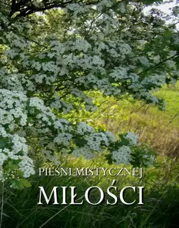 eBook Pieśni mistycznej miłości - Antologia epub mobi