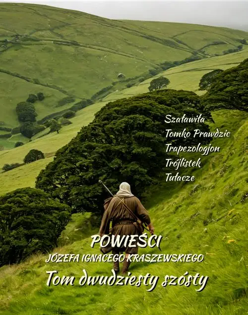 eBook Powieści Józefa Ignacego Kraszewskiego. Tom 26 - Józef Ignacy Kraszewski mobi epub