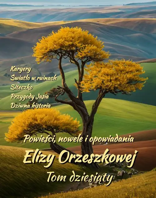 eBook Powieści, nowele i opowiadania Elizy Orzeszkowej. Tom X - Eliza Orzeszkowa epub mobi