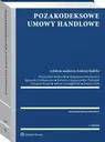 eBook Pozakodeksowe umowy handlowe - Andrzej Kidyba