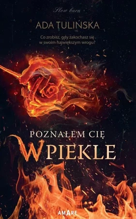 eBook Poznałem Cię w piekle - Ada Tulińska mobi epub