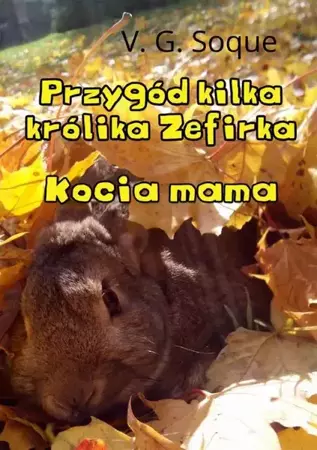 eBook Przygód kilka królika Zefirka. Kocia mama - V.G. Soque epub mobi