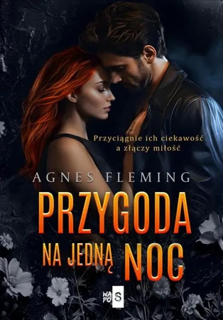 eBook Przygoda na jedną noc - Agnes Fleming epub mobi