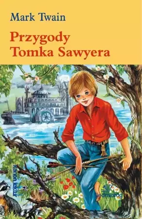 eBook Przygody Tomka Sawyera - Mark Twain epub mobi