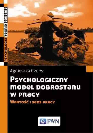 eBook Psychologiczny model dobrostanu w pracy - Agnieszka Czerw epub mobi