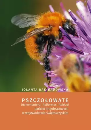 eBook Pszczołowate (Hymenoptera: Apiformes: Apidae) parków krajobrazowych w województwie świętokrzyskim - Jolanta Bąk-Badowska