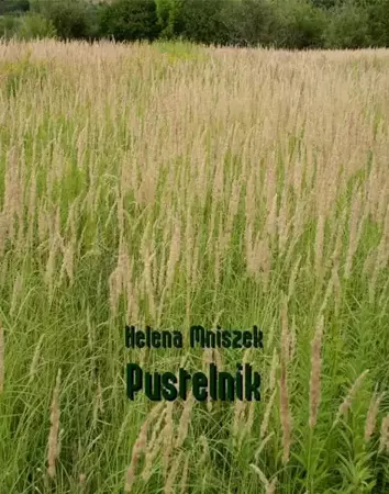 eBook Pustelnik - Helena Mniszek epub mobi