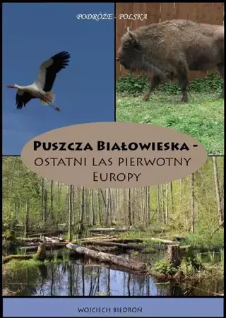 eBook Puszcza Białowieska - Ostatni las pierwotny Europy - Wojciech Biedroń mobi epub