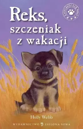 eBook Reks szczeniak z wakacji - Holly Webb mobi epub