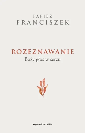 eBook Rozeznawanie - Franciszek Papież mobi epub