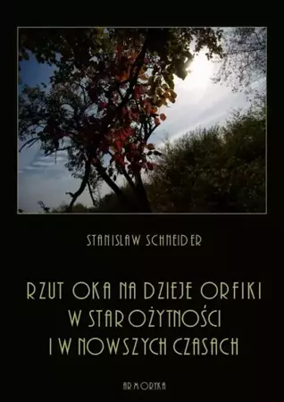 eBook Rzut oka na dzieje orfiki w starożytności i w nowszych czasach - Stanisław Schneider