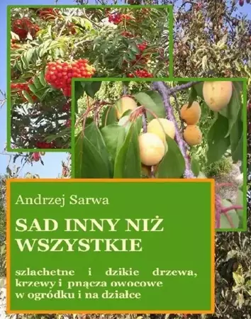 eBook Sad inny niż wszystkie - Andrzej Sarwa mobi epub