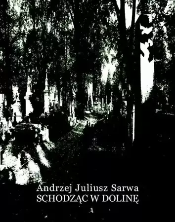 eBook Schodząc w dolinę - Andrzej Juliusz Sarwa epub mobi