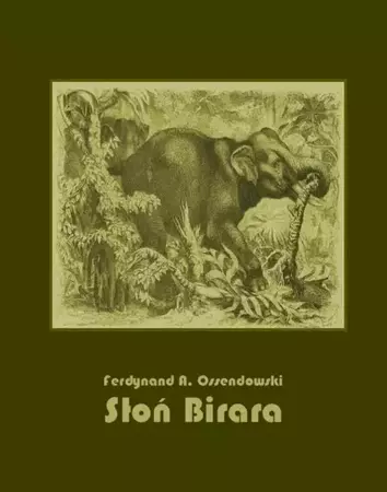 eBook Słoń Birara - Antoni Ferdynand Ossendowski epub mobi