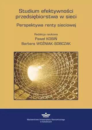 eBook Studium efektywności przedsiębiorstwa w sieci. Perspektywa renty sieciowej - Paweł Kosiń