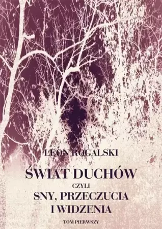 eBook Świat duchów, czyli sny, przeczucia i widzenia. Tom I - Leon Rogalski