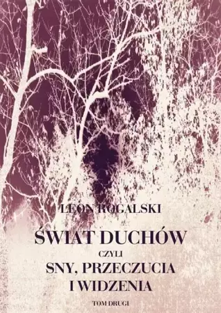 eBook Świat duchów, czyli sny, przeczucia i widzenia. Tom II - Leon Rogalski