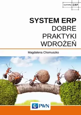 eBook System ERP - Dobre praktyki wdrożeń - Magdalena Chomuszko epub mobi