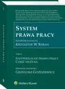 eBook System prawa pracy. TOM II. Indywidualne prawo pracy. Część ogólna - Arkadiusz Sobczyk